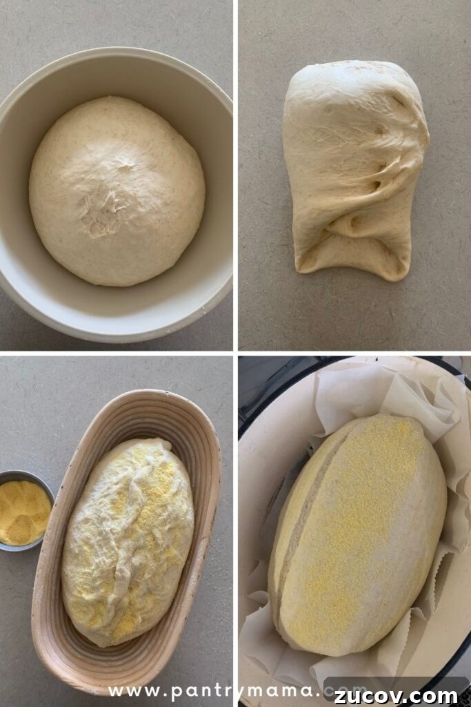 Pane di Casa vs Sourdough: Key Differences and Baking Tips 5 img 9200 4
