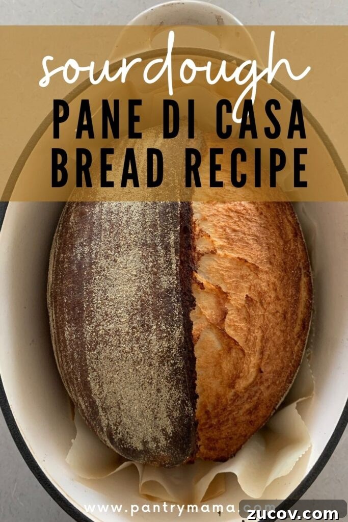 Pane di Casa vs Sourdough: Key Differences and Baking Tips 7 SOURDOUGH PANE DI CASA RECIPE - PINTEREST IMAGE