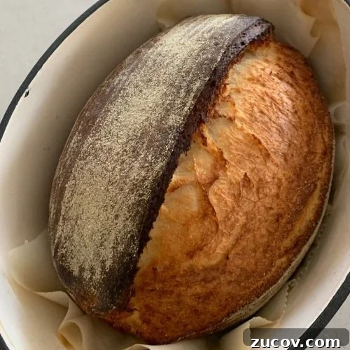 Pane di Casa vs Sourdough: Key Differences and Baking Tips 8 SOURDOUGH PANE DI CASA RECIPE