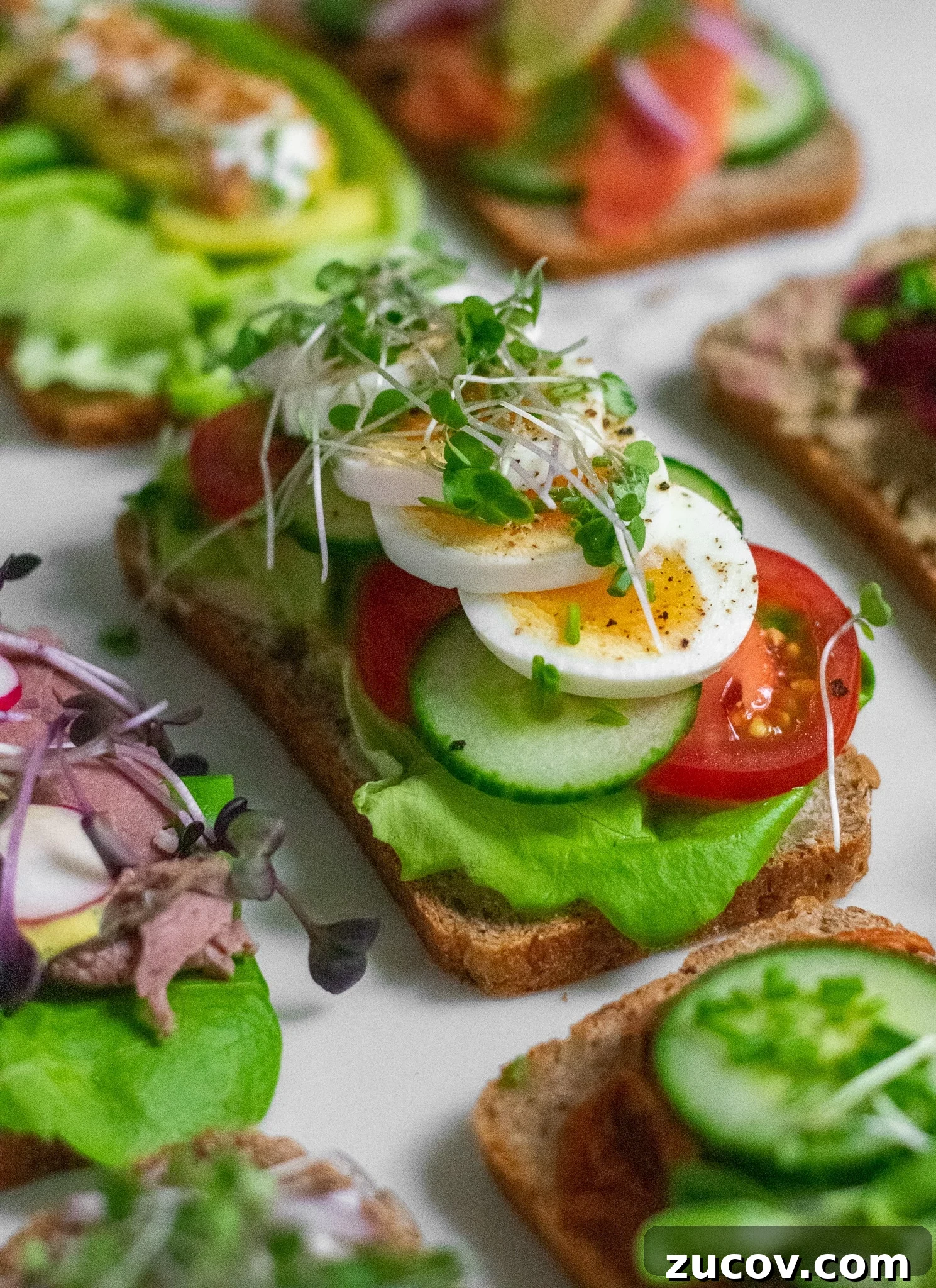 How a Sandwich Became Denmark’s Iconic Smørrebrød: Complete Guide 17 A rye bread open faced sandwich topped with lettuce, tomato, cucumber, sliced egg, and micro greens.