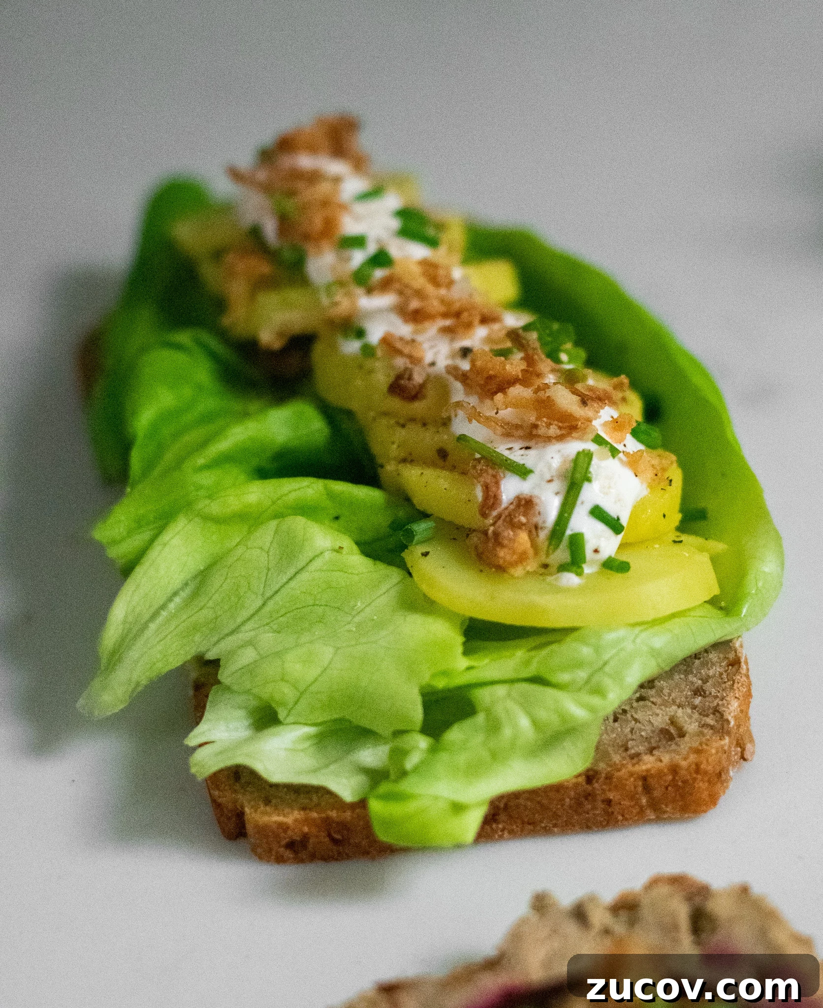 How a Sandwich Became Denmark’s Iconic Smørrebrød: Complete Guide 21 A rye bread open faced sandwich topped with lettuce, potato, sour cream, chives, and fried onion.