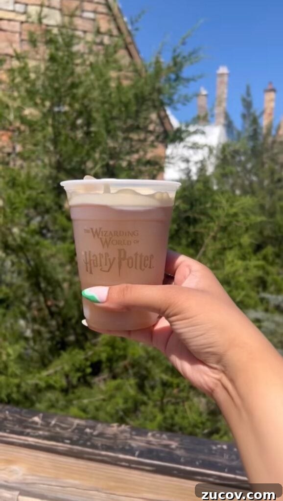 How to Make Authentic Harry Potter Butterbeer at Home 3 hand holding the butterbeer at Universal Studios