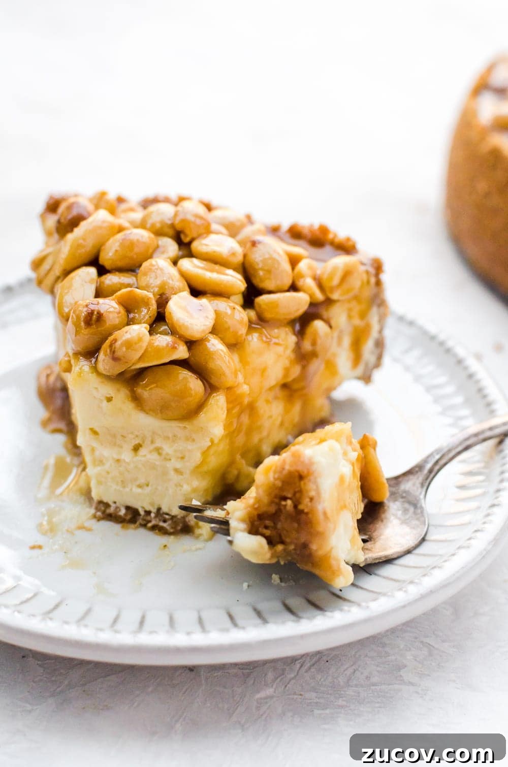 Decadent Caramel Pecan Cheesecake Recipe 6 close up caramel nut cheesecake with fork