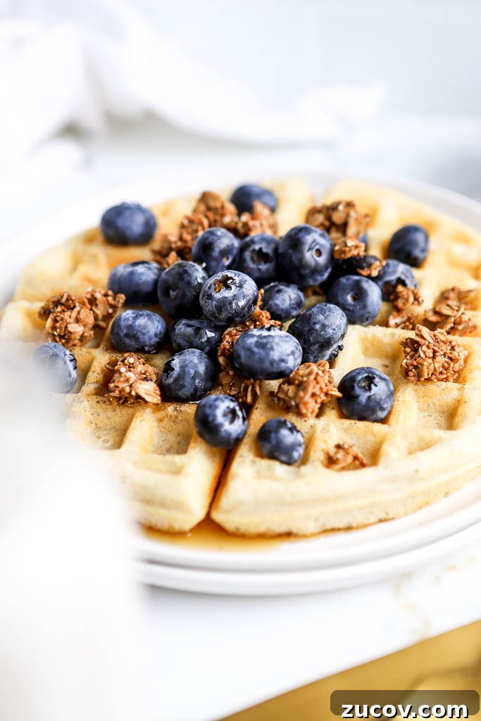 Vegan Gluten-Free Protein Waffles Recipe for Breakfast 5 healthy breakfast with vanilla protein powder