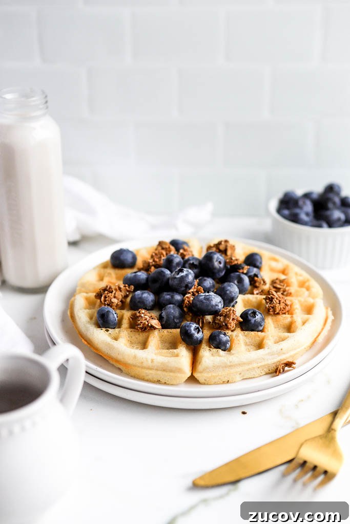 Vegan Gluten-Free Protein Waffles Recipe for Breakfast 6 traditional waffles with fresh fruit