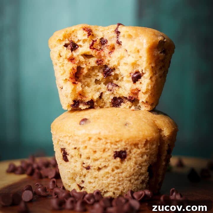 A partially eaten chocolate chip muffin stacked on top of another muffin.