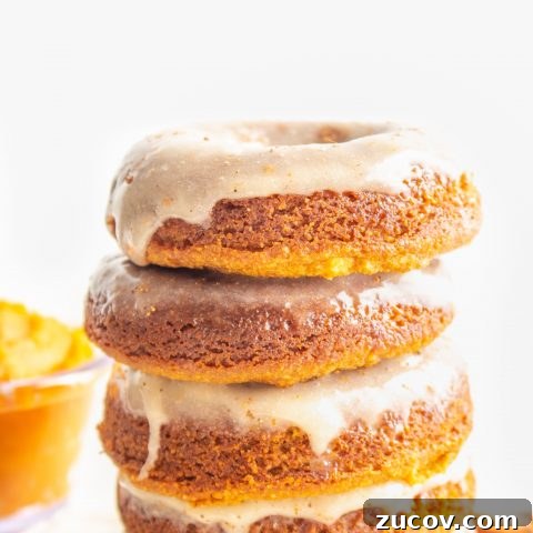 Pumpkin Spice Baked Donuts